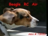 Beagle RC Air's Avatar