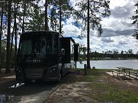 Flamingo Lake RV Resort, Jacksonville, Fl