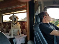 Rving with Labs