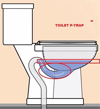 Click image for larger version

Name:	1 P-Trap Like Toilet.JPG
Views:	53
Size:	69.0 KB
ID:	178303