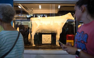 Click image for larger version

Name:	butter cow.jpg
Views:	56
Size:	92.2 KB
ID:	180582
