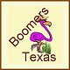 This group is for members of the Texas Boomers. We invite you to come join our group!